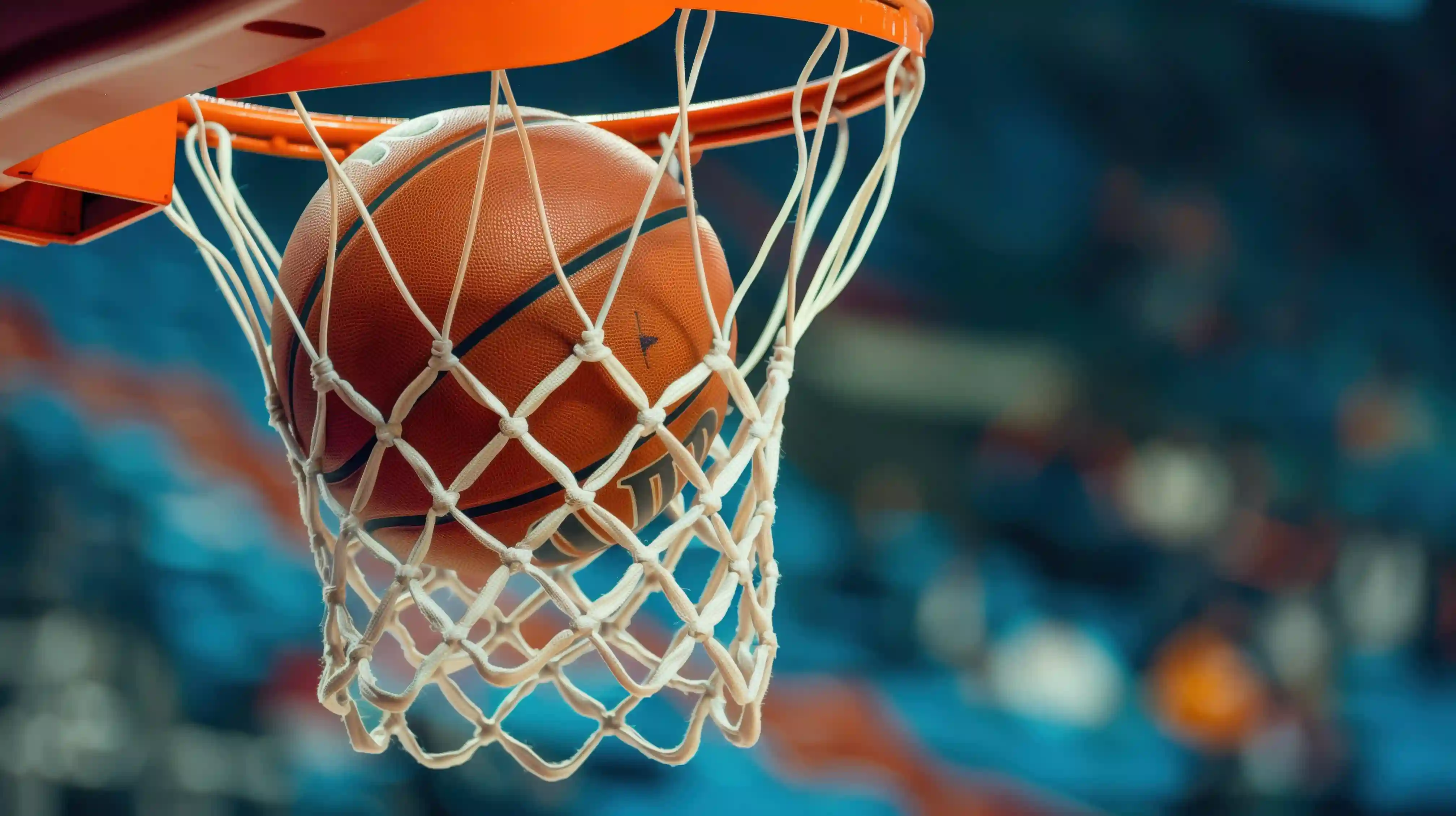 Comprehensive Basketball Services